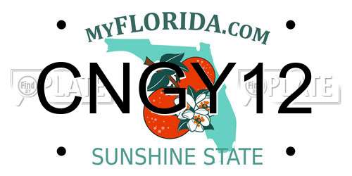 CNGY12 Florida License Plate