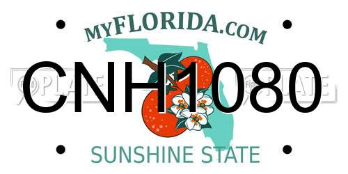 CNH1080 Florida License Plate