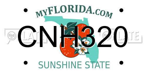 CNH320 Florida License Plate