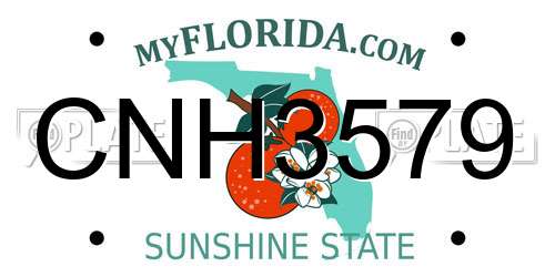 CNH3579 Florida License Plate