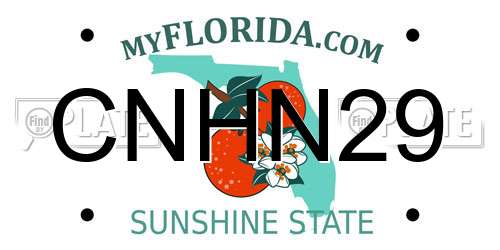 CNHN29 Florida License Plate