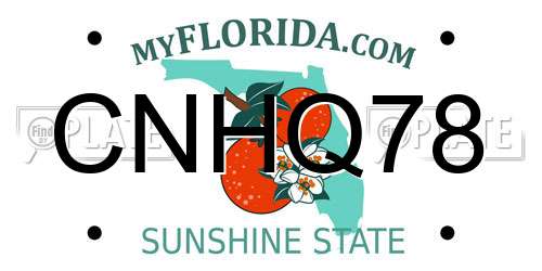 CNHQ78 Florida License Plate