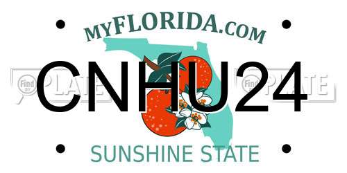 CNHU24 Florida License Plate