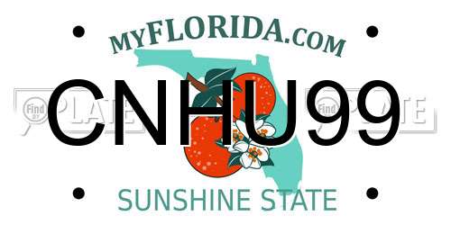 CNHU99 Florida License Plate