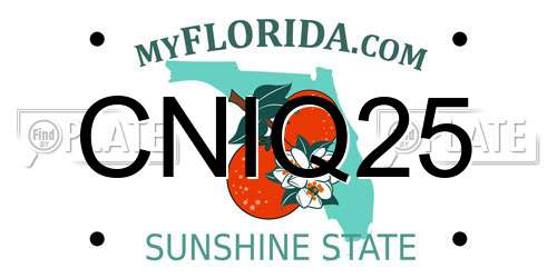 CNIQ25 Florida License Plate