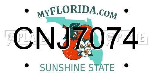 CNJ7074 Florida License Plate
