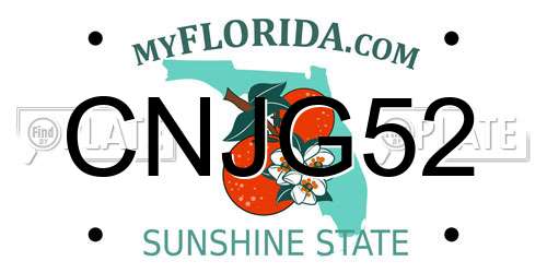 CNJG52 Florida License Plate