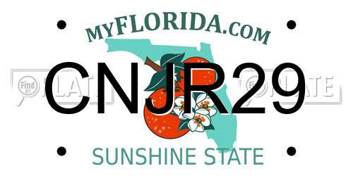 CNJR29 Florida License Plate