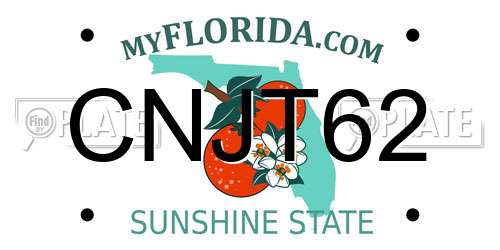 CNJT62 Florida License Plate