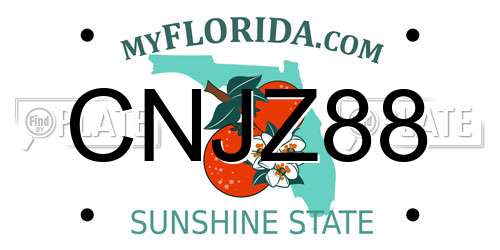 CNJZ88 Florida License Plate
