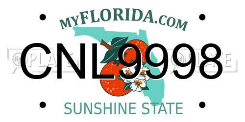 CNL9998 Florida License Plate