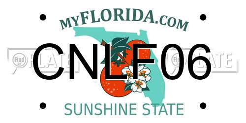 CNLF06 Florida License Plate