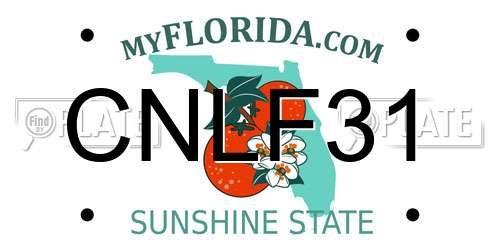 CNLF31 Florida License Plate