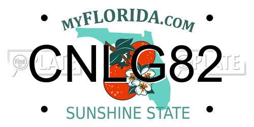 CNLG82 Florida License Plate