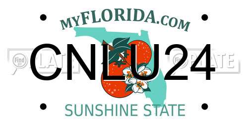 CNLU24 Florida License Plate
