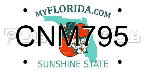 CNM795 Florida License Plate