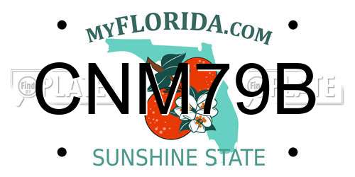 CNM79B Florida License Plate