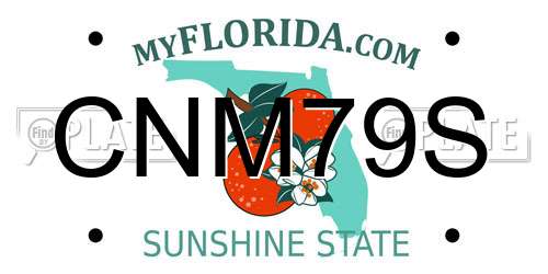 CNM79S Florida License Plate
