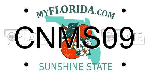 CNMS09 Florida License Plate