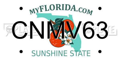 CNMV63 Florida License Plate