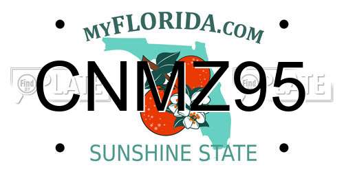 CNMZ95 Florida License Plate