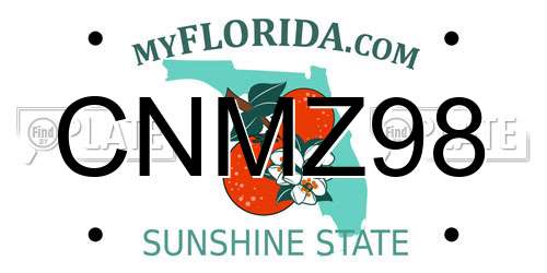 CNMZ98 Florida License Plate