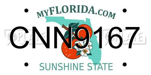 CNN9167 Florida License Plate
