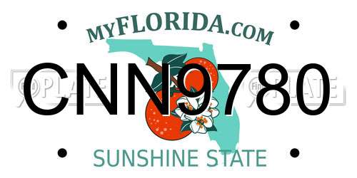 CNN9780 Florida License Plate