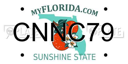 CNNC79 Florida License Plate