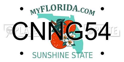 CNNG54 Florida License Plate