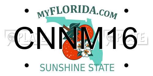 CNNM16 Florida License Plate