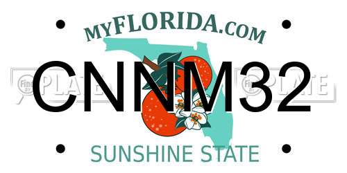 CNNM32 Florida License Plate