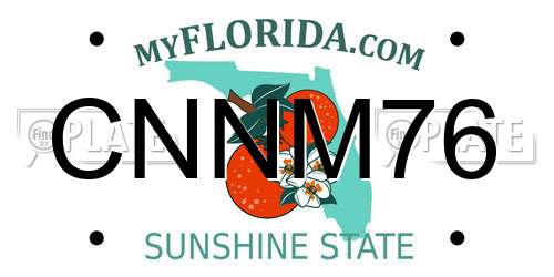 CNNM76 Florida License Plate