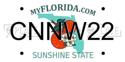 CNNW22 Florida License Plate