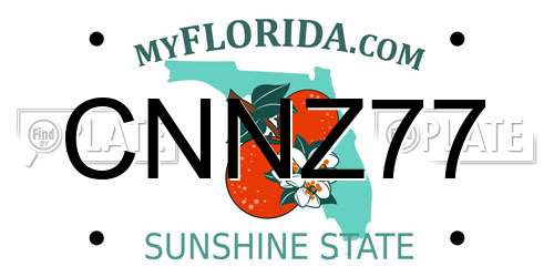 CNNZ77 Florida License Plate