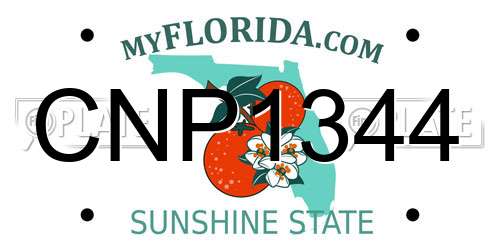 CNP1344 Florida License Plate