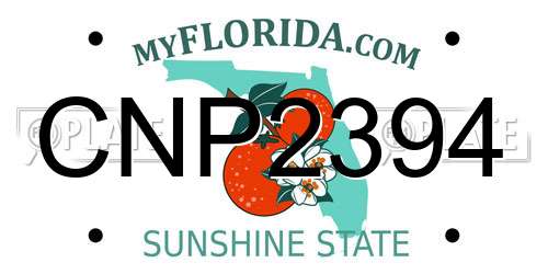 CNP2394 Florida License Plate