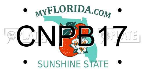 CNPB17 Florida License Plate