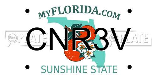 CNR3V Florida License Plate