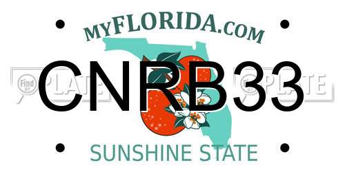 CNRB33 Florida License Plate