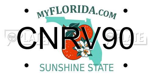 CNRV90 Florida License Plate