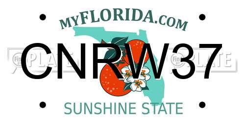 CNRW37 Florida License Plate
