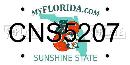 CNS5207 Florida License Plate