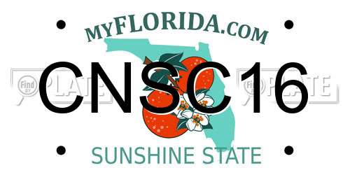 CNSC16 Florida License Plate