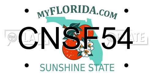 CNSF54 Florida License Plate