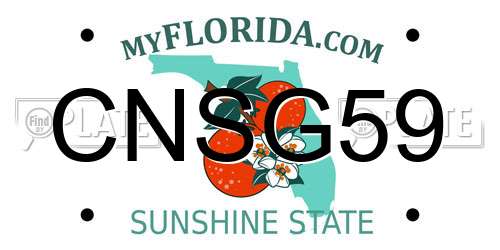 CNSG59 Florida License Plate