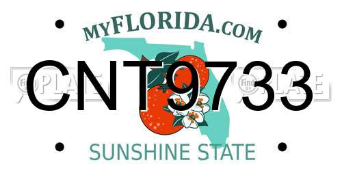 CNT9733 Florida License Plate