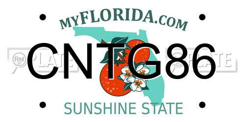 CNTG86 Florida License Plate