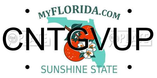 CNTGVUP Florida License Plate