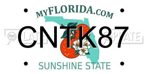 CNTK87 Florida License Plate